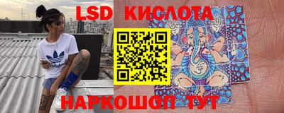 ПСИЛОЦИБИНОВЫЕ ГРИБЫ Камышлов