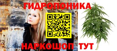 ПСИЛОЦИБИНОВЫЕ ГРИБЫ Камышлов