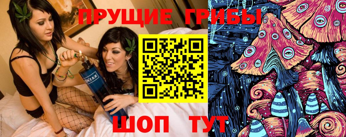 Каменск-Уральский  Псилоцибиновые грибы мухоморы  Вход с VPN  Псилоцибиновые грибы мицелий 